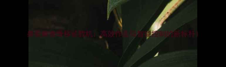 泰安威肯滑移装载机高效作业与智能控制的新标杆