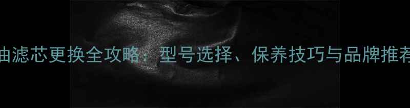 图片 洋马65挖掘机柴油滤芯更换全攻略：型号选择、保养技巧与品牌推荐（附选购指南）