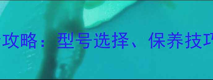 图片 洋马65挖掘机柴油滤芯更换全攻略：型号选择、保养技巧与品牌推荐（附选购指南）1
