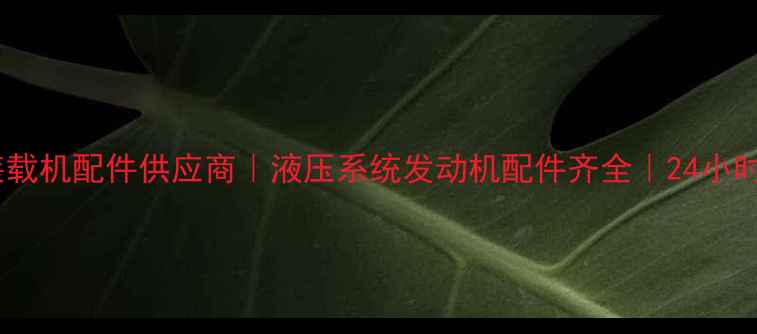 图片 济南夏工装载机配件供应商｜液压系统发动机配件齐全｜24小时服务电话1