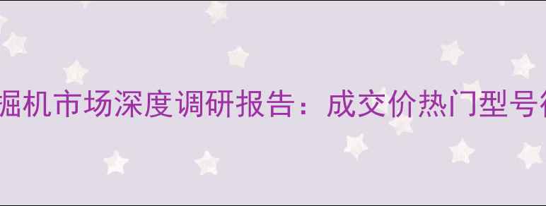 海南二手挖掘机市场深度调研报告成交价热门型号行业趋势全