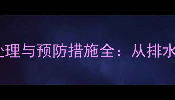 液压挖掘机水淹故障应急处理与预防措施全从排水系统到密封技术深度剖析
