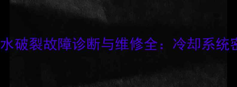 图片 液压挖掘机水箱漏水破裂故障诊断与维修全：冷却系统密封失效处理指南2