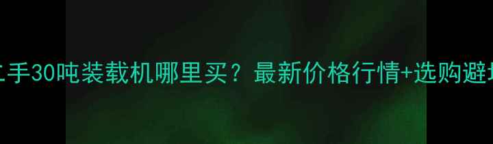 淄博二手30吨装载机哪里买最新价格行情选购避坑指南