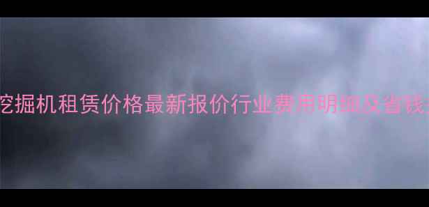 湖北挖掘机租赁价格最新报价行业费用明细及省钱技巧