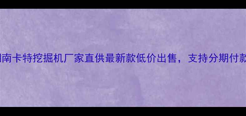 湖南卡特挖掘机厂家直供最新款低价出售支持分期付款