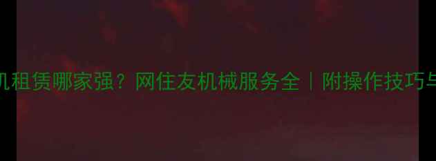 图片 湖南挖掘机租赁哪家强？网住友机械服务全｜附操作技巧与避坑指南