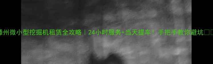 图片 滕州微小型挖掘机租赁全攻略｜24小时服务+当天提车！手把手教你避坑🚜💨