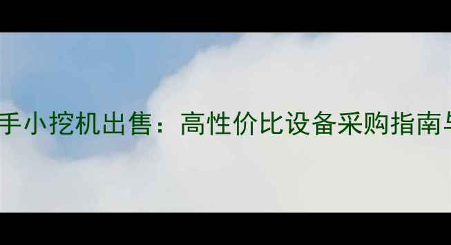 图片 潍坊日立二手小挖机出售：高性价比设备采购指南与行业分析1