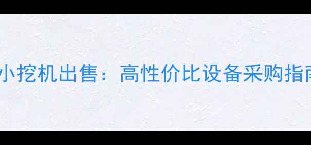 潍坊日立二手小挖机出售高性价比设备采购指南与行业分析