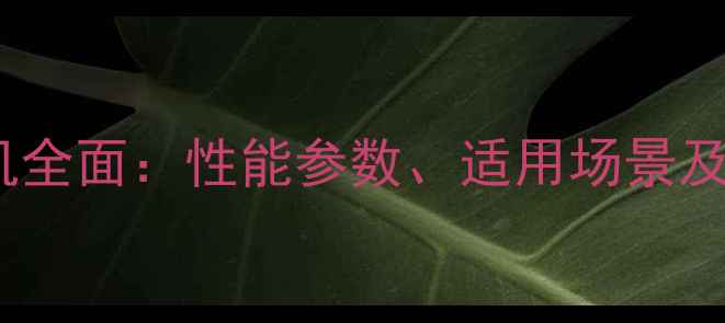 图片 现代R205挖掘机全面：性能参数、适用场景及市场前景分析1