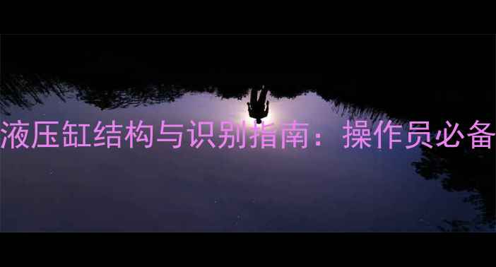 图片 现代挖掘机五档液压缸结构与识别指南：操作员必备的故障诊断手册