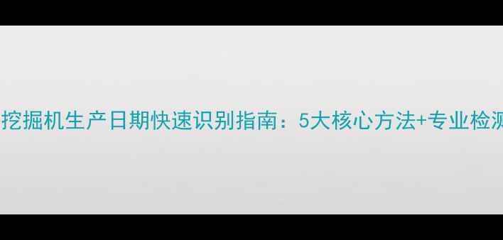 图片 现代挖掘机生产日期快速识别指南：5大核心方法+专业检测全2