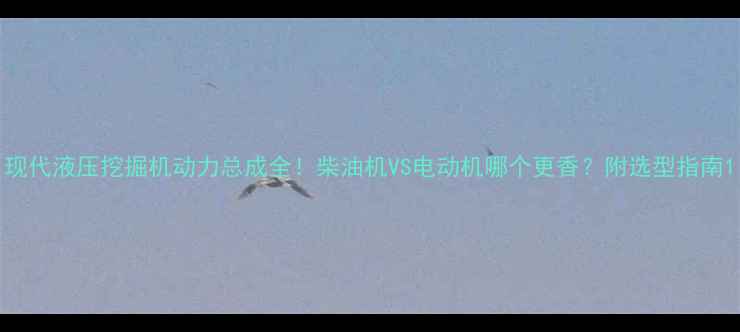 图片 现代液压挖掘机动力总成全！柴油机VS电动机哪个更香？附选型指南1