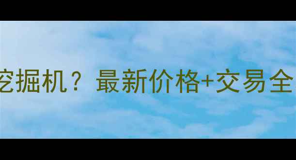 图片 百色哪里买个人二手挖掘机？最新价格+交易全攻略（附避坑指南）1