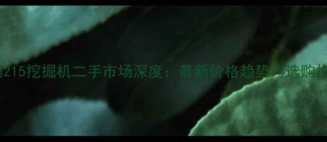 图片 神钢215挖掘机二手市场深度：最新价格趋势与选购指南1