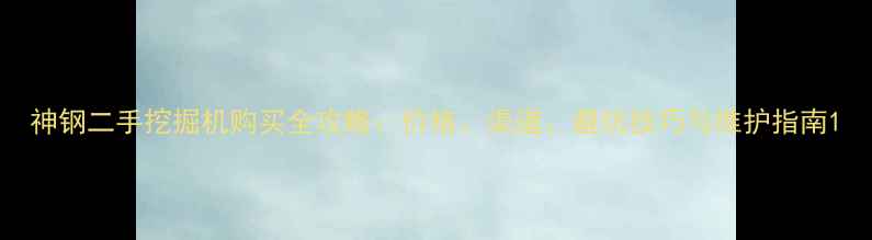神钢二手挖掘机购买全攻略价格渠道避坑技巧与维护指南