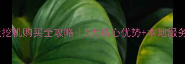 图片 福州雷沃挖机购买全攻略｜5大核心优势+本地服务商推荐2