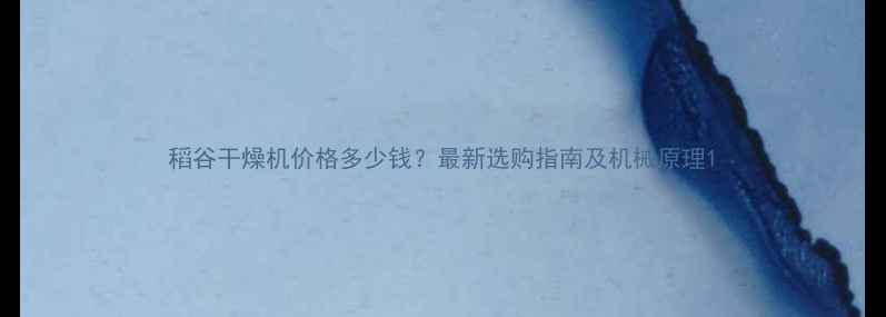 稻谷干燥机价格多少钱最新选购指南及机械原理