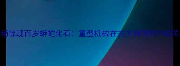 图片 考古现场惊现百岁蟒蛇化石！重型机械在古生物研究中的关键作用
