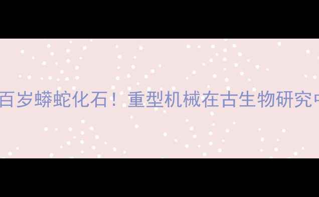 图片 考古现场惊现百岁蟒蛇化石！重型机械在古生物研究中的关键作用1