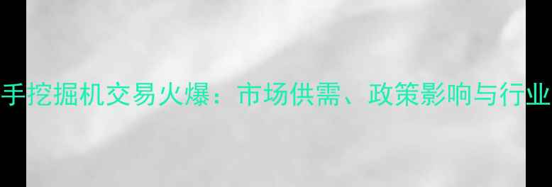 图片 苏州二手挖掘机交易火爆：市场供需、政策影响与行业趋势全