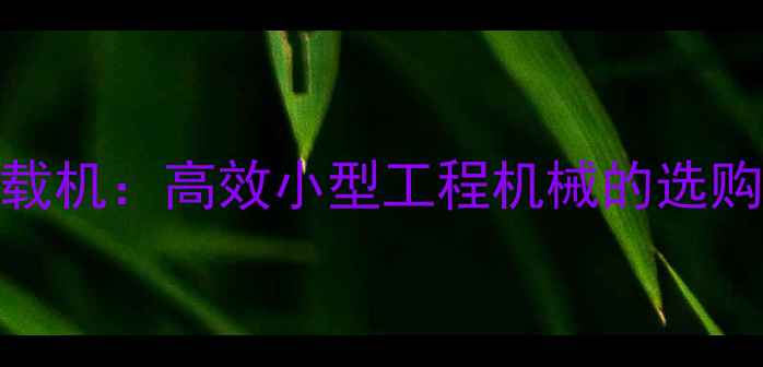 莱州微型铲车装载机高效小型工程机械的选购指南与行业应用
