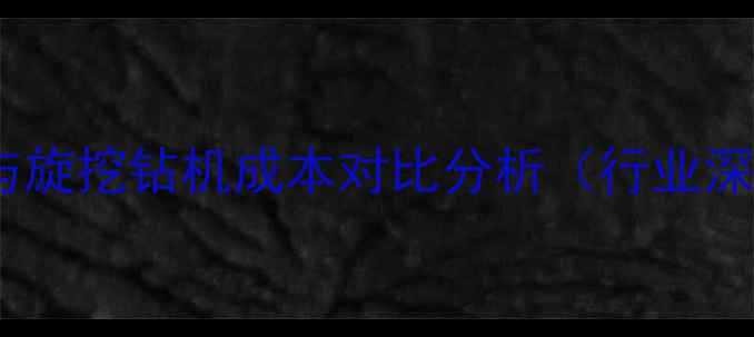 图片 螺旋钻孔与旋挖钻机成本对比分析（行业深度报告）1