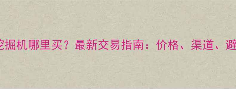 衡水二手挖掘机哪里买最新交易指南价格渠道避坑全攻略
