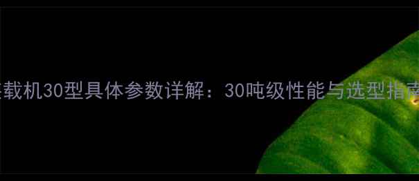 装载机30型具体参数详解30吨级性能与选型指南