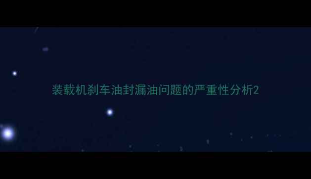 图片 装载机刹车油封漏油问题的严重性分析2