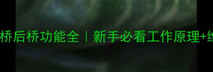 图片 装载机前桥后桥功能全｜新手必看工作原理+维护技巧1