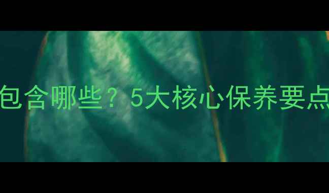 装载机厂家服务包含哪些5大核心保养要点及成本控制策略