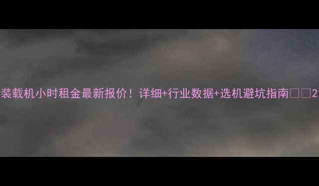 装载机小时租金最新报价详细行业数据选机避坑指南