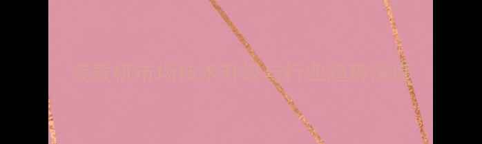 图片 装载机市场技术升级与行业趋势深度