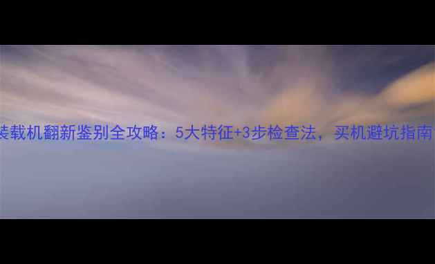 装载机翻新鉴别全攻略5大特征3步检查法买机避坑指南