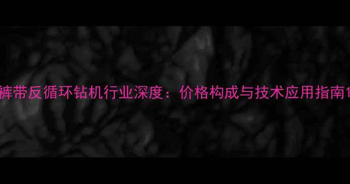 图片 裤带反循环钻机行业深度：价格构成与技术应用指南1