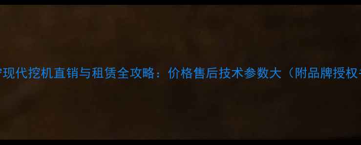 图片 西宁现代挖机直销与租赁全攻略：价格售后技术参数大（附品牌授权书）