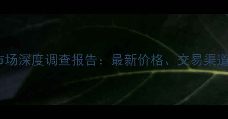 图片 西安二手挖掘机市场深度调查报告：最新价格、交易渠道与风险规避指南2