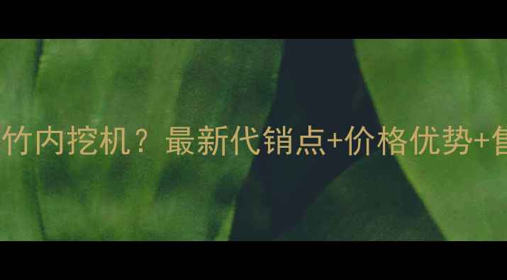 图片 贵阳哪里买竹内挖机？最新代销点+价格优势+售后保障全1