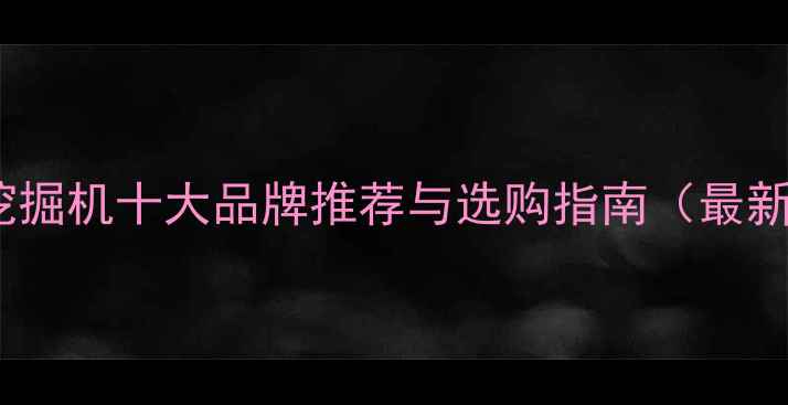 图片 轮式挖掘机十大品牌推荐与选购指南（最新版）1