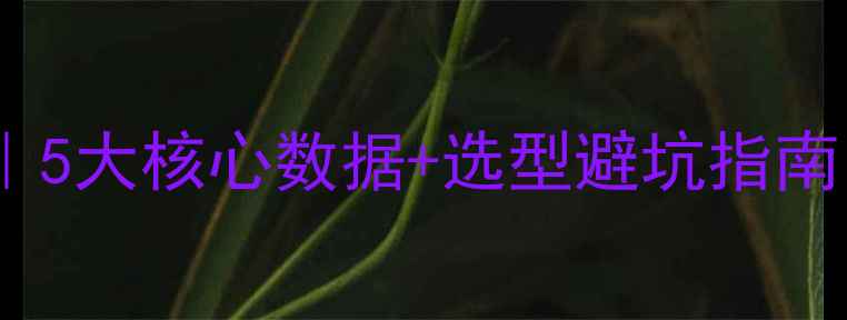 图片 轮式装载机功率参数全｜5大核心数据+选型避坑指南，看完秒变行业达人！2