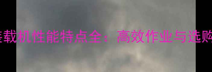 图片 轮式装载机性能特点全：高效作业与选购指南1