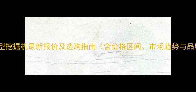 图片 轮胎式大型挖掘机最新报价及选购指南（含价格区间、市场趋势与品牌对比）1