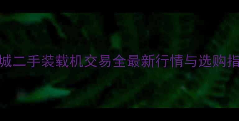 图片 运城二手装载机交易全最新行情与选购指南