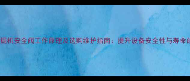 图片 进口挖掘机安全阀工作原理及选购维护指南：提升设备安全性与寿命的关键1
