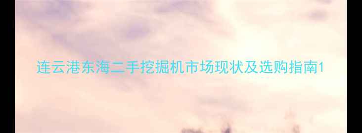 连云港东海二手挖掘机市场现状及选购指南