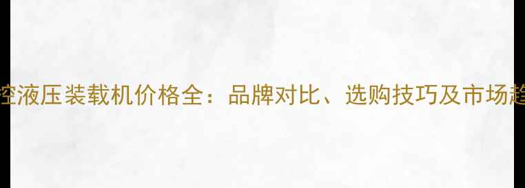 图片 遥控液压装载机价格全：品牌对比、选购技巧及市场趋势