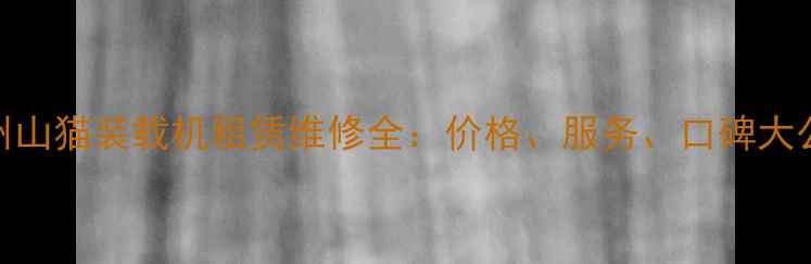 图片 郑州山猫装载机租赁维修全：价格、服务、口碑大公开