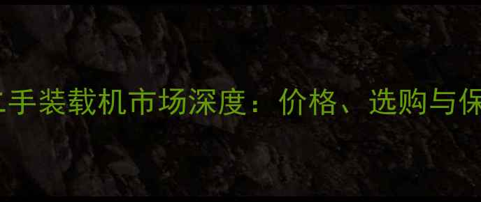 郴州桂阳二手装载机市场深度价格选购与保养全指南